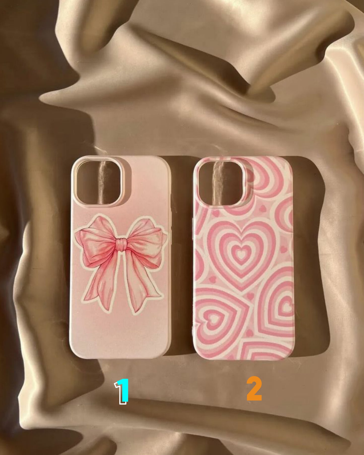 Premium Soft case